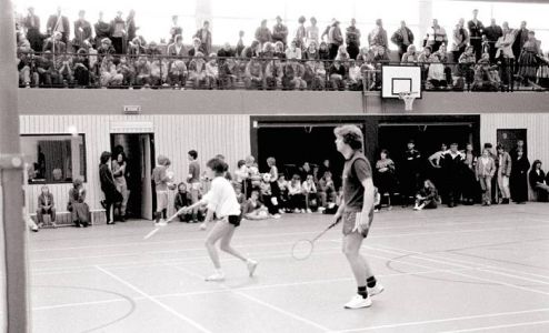 42 - Badminton.jpg